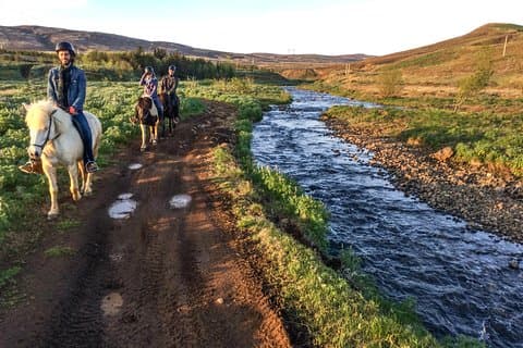 3 hour Private Horse Riding Tour in Mosfellsdalur