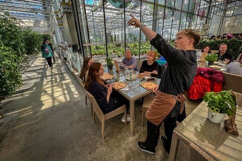 Friðheimar Tomato Greenhouse