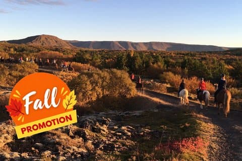 Icelandic Horseback Riding Tour with Pickup Option from Reykjavik