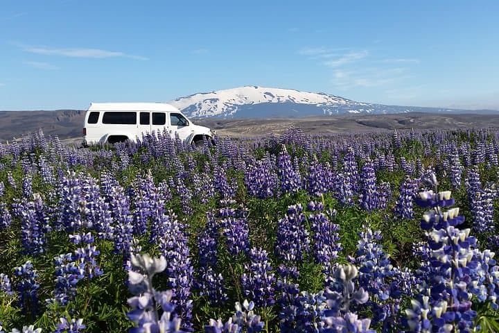 Icelandic Nature