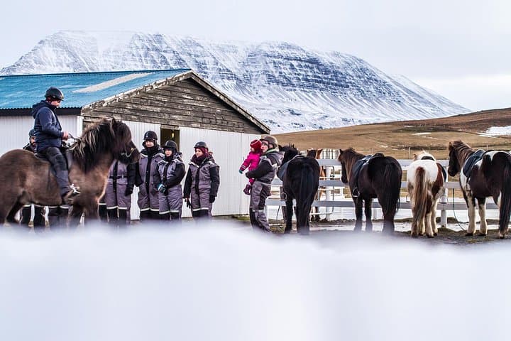 The Viking Horse Riding Experience in North Iceland