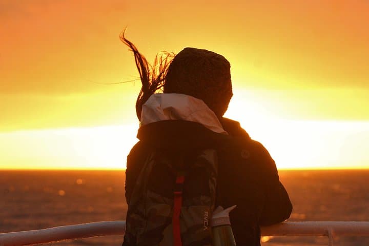 Magical Whales in the Midnight Sun | from Reykjavik