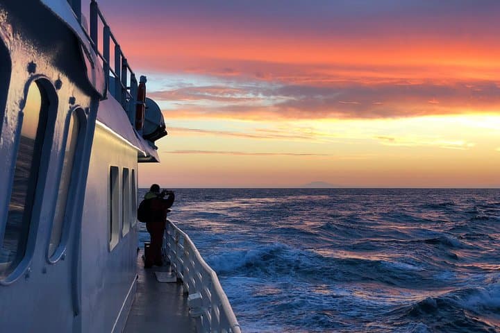 Magical Whales in the Midnight Sun | from Reykjavik