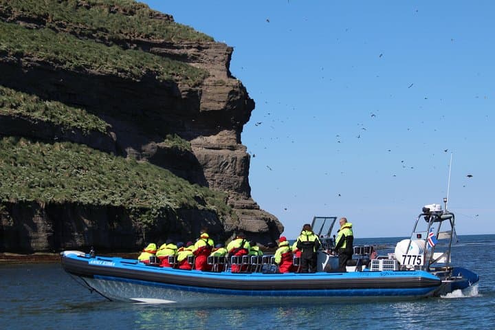 Original Big Whale Safari and Puffins from Iceland by Local Family Company in Húsavík