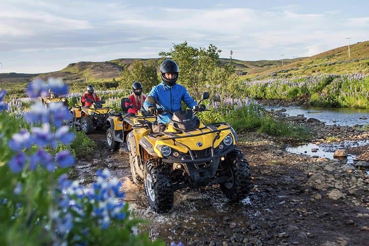 Whale Watching & ATV Adventure from Reykjavik