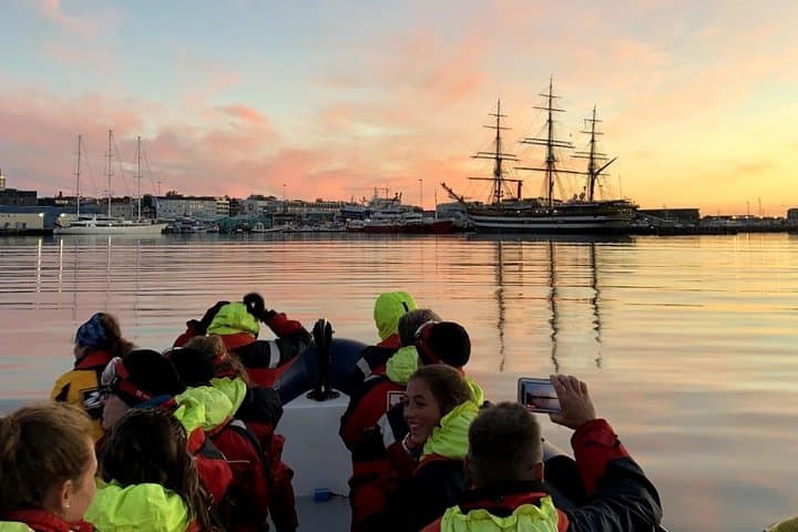Akureyri Express Whale Watching by RIB boat