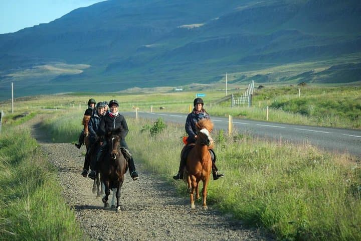 Private 3-Hour Horseback Riding Tour