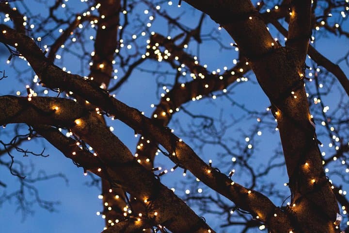Iceland's Christmas Myths and Traditions - Reykjavík walking tour