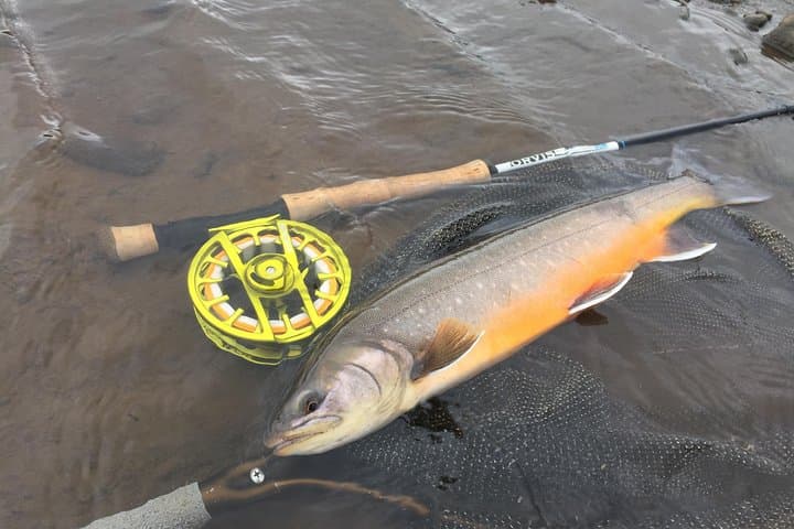 Private Fishing Tour from Reykjavik - Arctic Char and Brown Trout