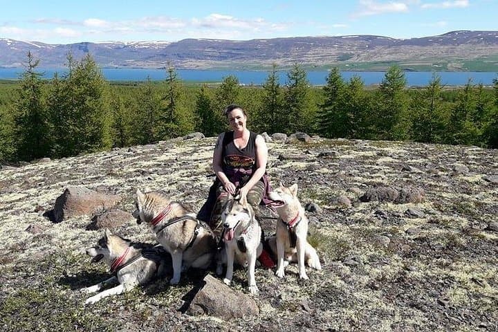 Hiking with Husky in Akureyri (private)