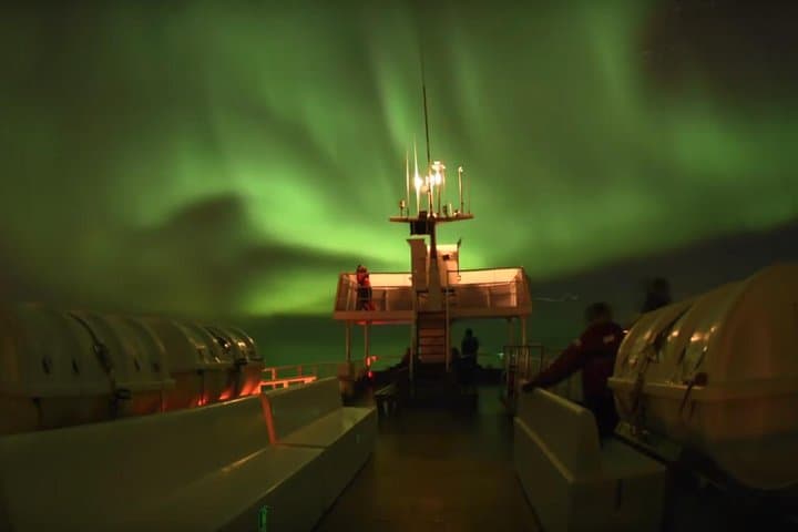 Winter Whale Watching and Northern Lights Cruise from Reykjavik