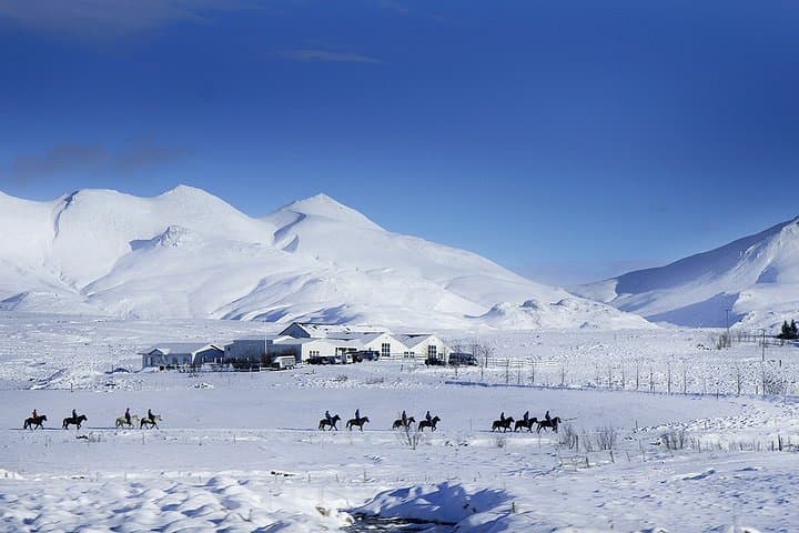 Viking Horse Riding and Golden Circle Tour from Reykjavik