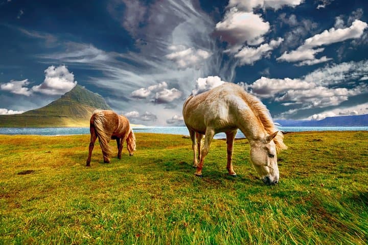 5 Day private tour of ICELAND from Reykjavik