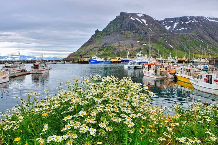 Guided private tour of Isafjordur and its fascinating rural surroundings