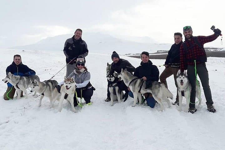Hiking with Husky in Akureyri (private)