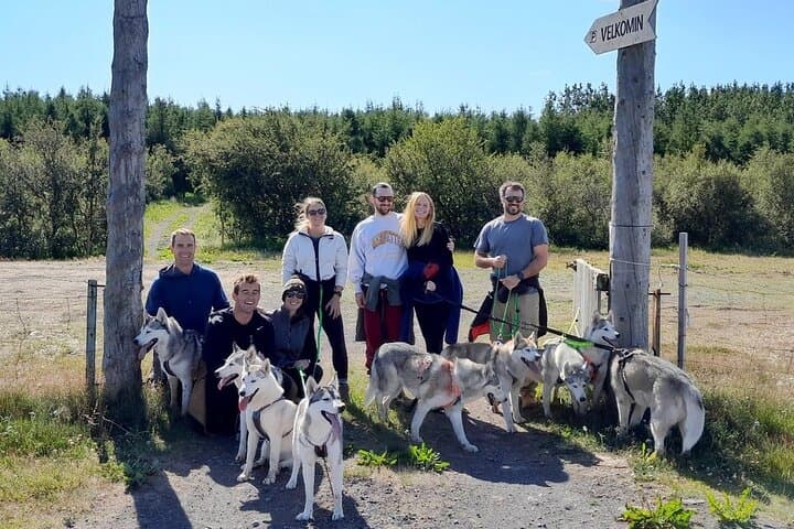 Hiking with Husky in Akureyri (private)
