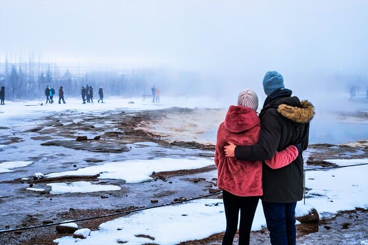 Golden Circle, Fridheimar Farm & Horses Small Group Tour from Reykjavik