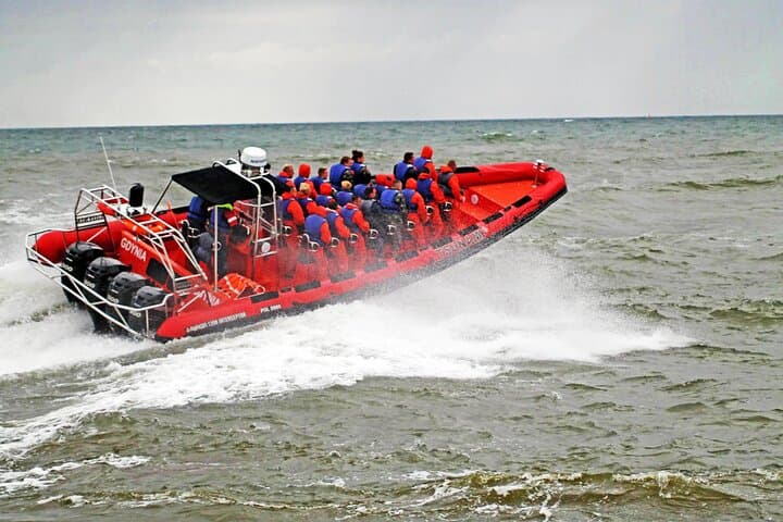 Whale Watching by RIB Speedboat from Downtown Reykjavik