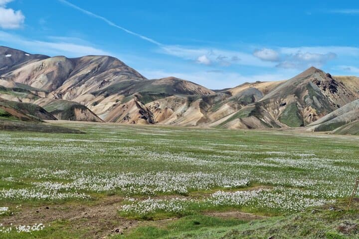 Private Day Trip in Landmannalaugar from Reykjavík