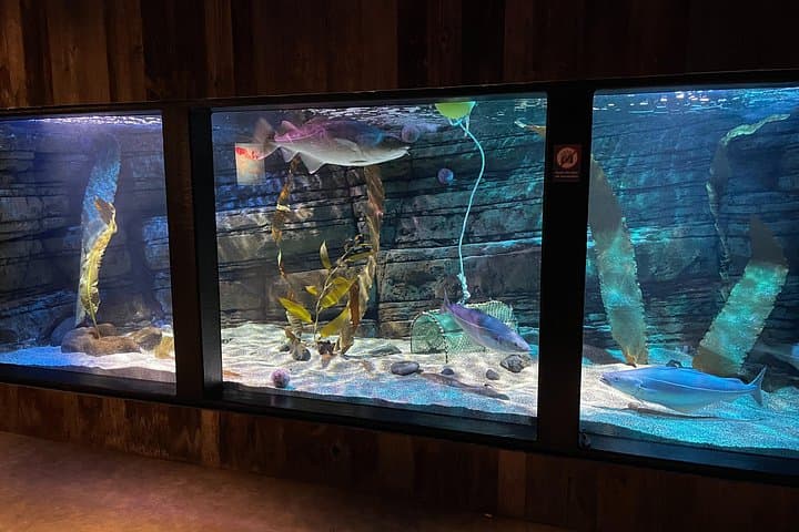 Beluga and Puffin Sanctuary Visitor Centre with Aquarium