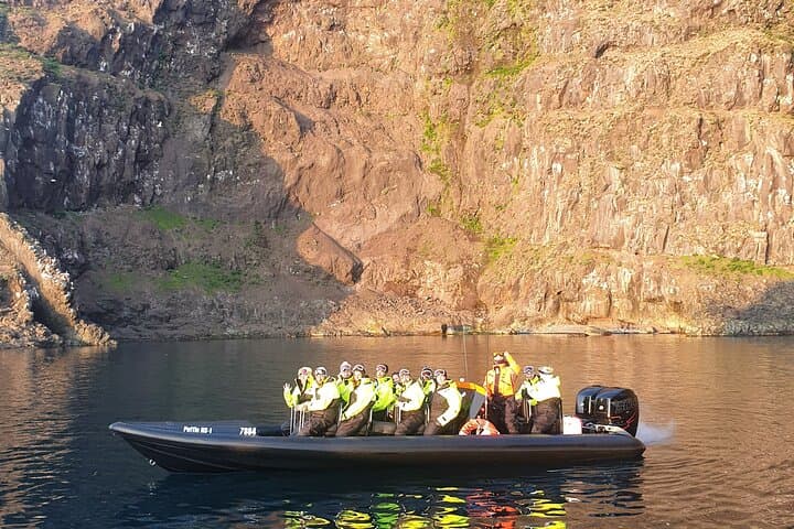 1 Hour Iceland Nature and Wildlife RIB Small Group Guided Safari