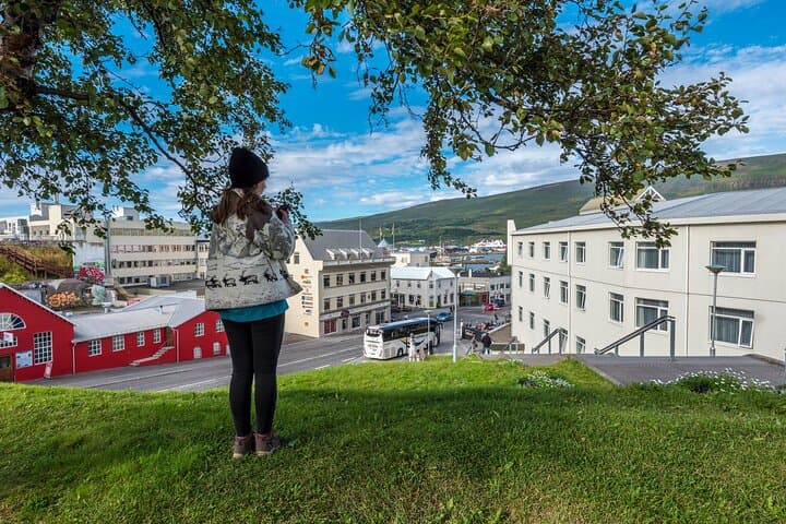 Private Historic Walking Tour in Reykjavik City Highlights