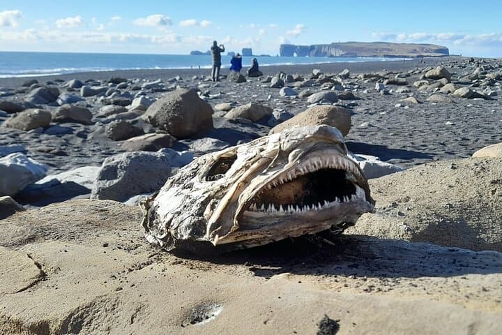 Private South Coast and Katla Ice Cave Tour