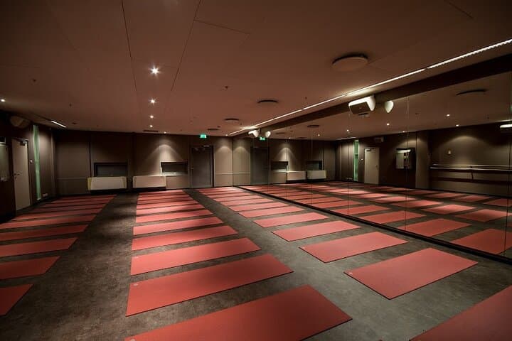 Reykjavik Fitness Pass