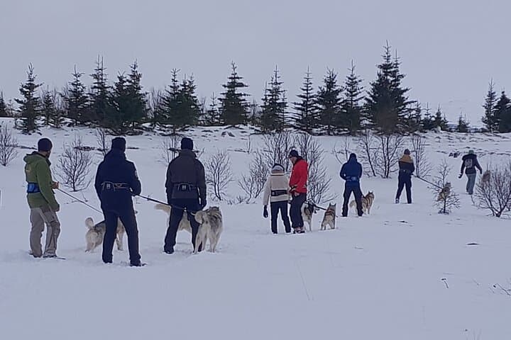 mixed groups