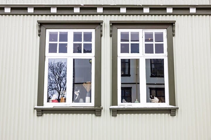 Another look at the cat-cafe from outside