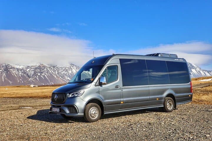 Private Golden Circle Day Tour with Pick up from Port in Iceland