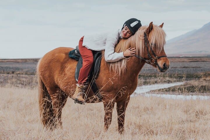 The Viking Horse Riding Experience in North Iceland