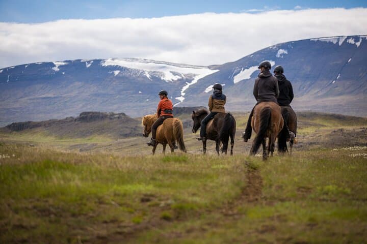 The Viking Horse Riding Experience in North Iceland