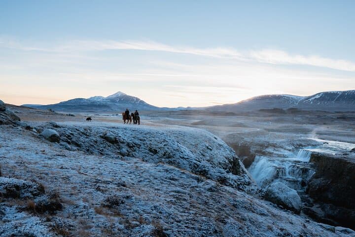 The Viking Horse Riding Experience in North Iceland