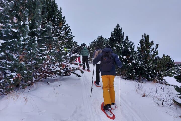 Akureyri Snowshoeing with The Traveling Viking