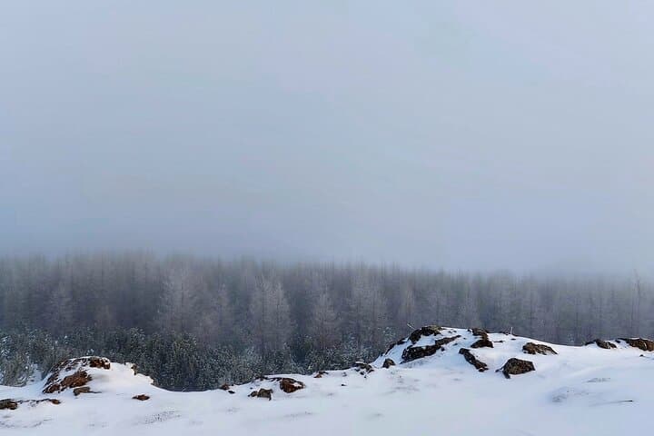 Akureyri Snowshoeing with The Traveling Viking