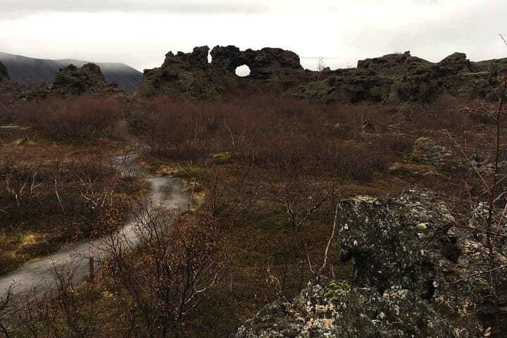 Private Cruise Ship Tour in Husavik