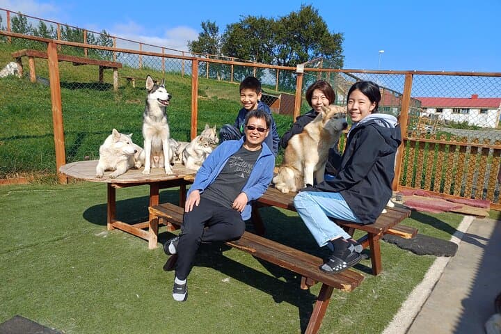 Husky Petting, in Akureyri