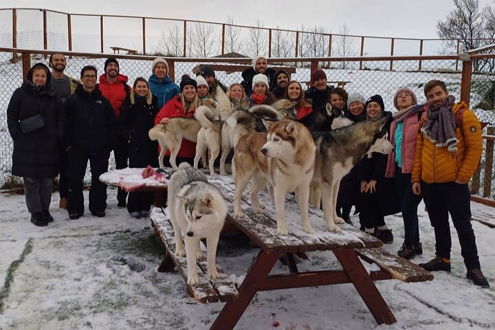 Husky Petting, in Akureyri