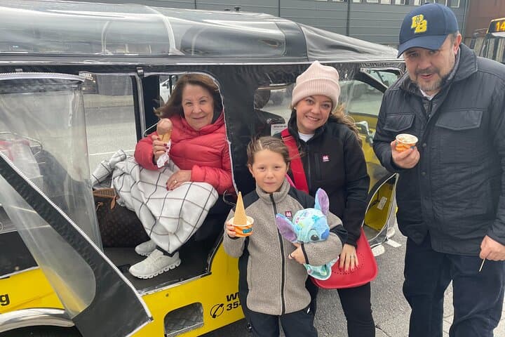 Private Reykjavík Tuk Tuk – City Highlights Tour