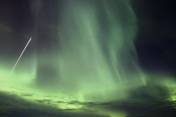 Forest Lagoon and Northern Lights Guided Night Tour