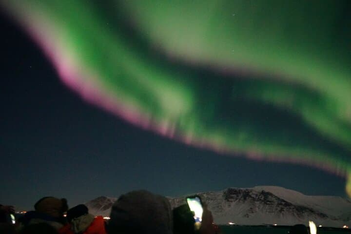 The Arctic sky puts on its best show in Iceland! Witness the shimmering Northern Lights dance across the stars.