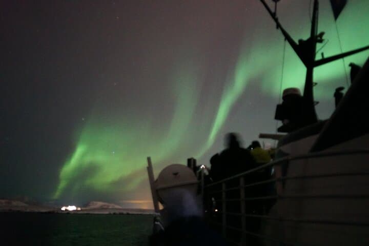Chasing dreams under Iceland’s glowing sky! The Northern Lights dance above in waves of green and gold — pure Arctic magic.