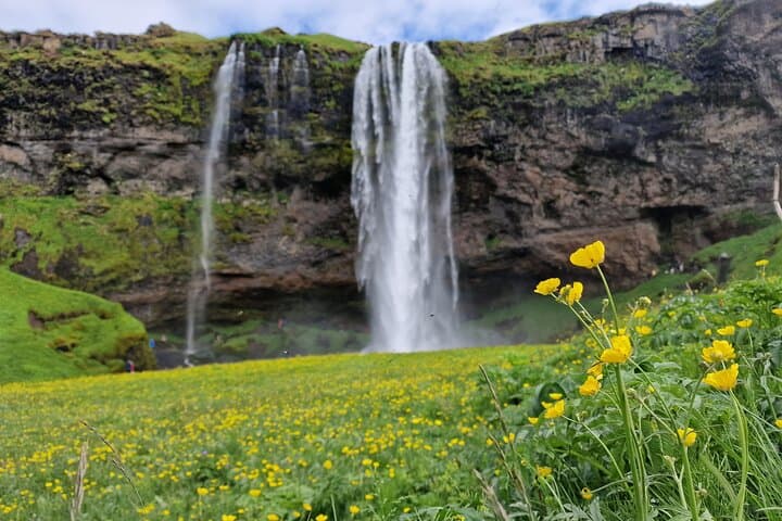 South Iceland, Glacier and Black Sand Beach Small Group Tour