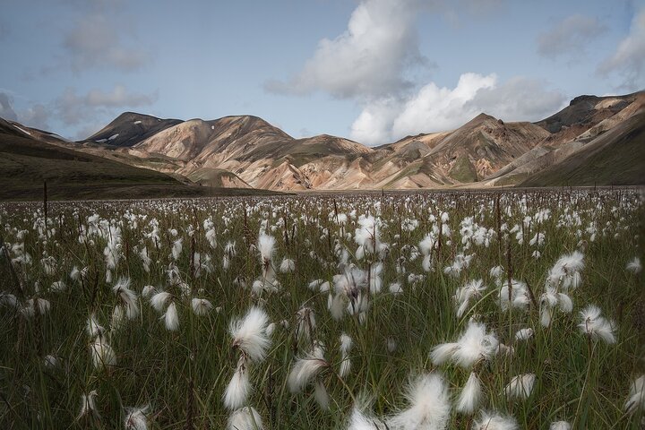 Landmannalaugar Hiking Haifoss Waterfall and Nature Bath