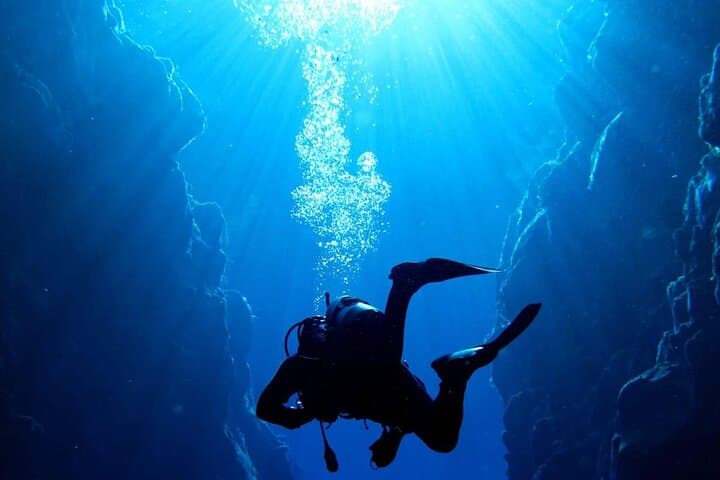 Where and How You Want Private Tour with Wilmar English or Spanish