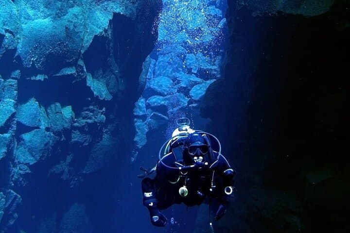 Where and How You Want Private Tour with Wilmar English or Spanish