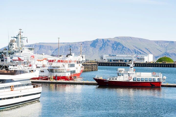 Step into the rich maritime history of Reykjavik on this immersive walking tour.