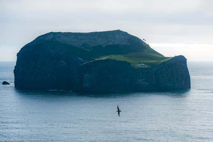 Vestmannaeyjar Private Day Tour Puffins and Hidden Gems