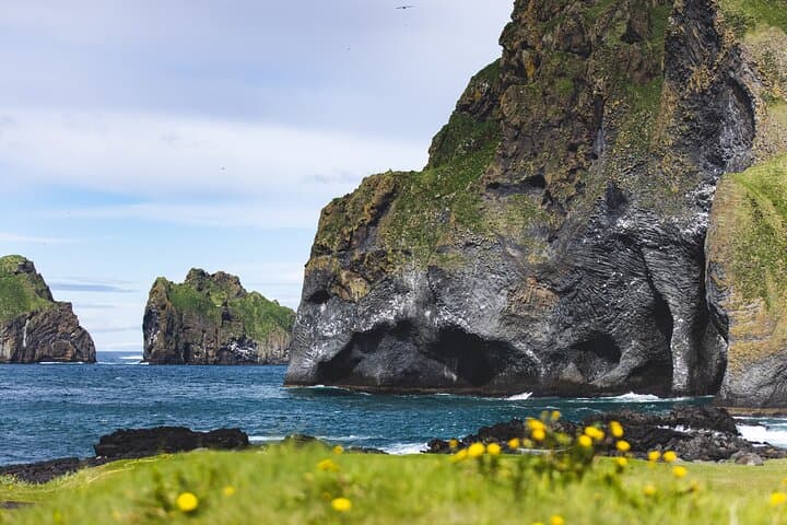 Vestmannaeyjar Private Day Tour Puffins and Hidden Gems